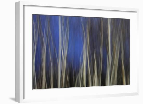 Mystic Forest 1287-Rica Belna-Framed Giclee Print