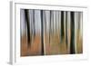 Mystic Forest 1295-Rica Belna-Framed Giclee Print