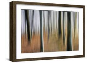 Mystic Forest 1295-Rica Belna-Framed Giclee Print