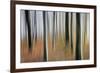 Mystic Forest 1295-Rica Belna-Framed Giclee Print