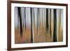 Mystic Forest 1295-Rica Belna-Framed Giclee Print