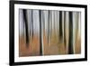 Mystic Forest 1295-Rica Belna-Framed Giclee Print