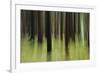 Mystic Forest 741-Rica Belna-Framed Giclee Print