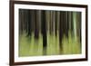 Mystic Forest 741-Rica Belna-Framed Giclee Print