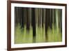 Mystic Forest 741-Rica Belna-Framed Giclee Print