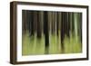 Mystic Forest 741-Rica Belna-Framed Giclee Print