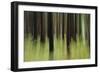 Mystic Forest 741-Rica Belna-Framed Giclee Print