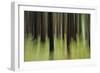 Mystic Forest 741-Rica Belna-Framed Giclee Print