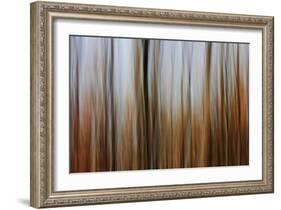 Mystic Forest 839-Rica Belna-Framed Giclee Print