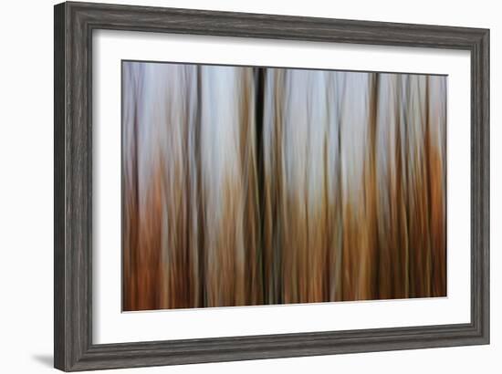 Mystic Forest 839-Rica Belna-Framed Giclee Print