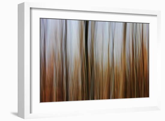 Mystic Forest 839-Rica Belna-Framed Giclee Print