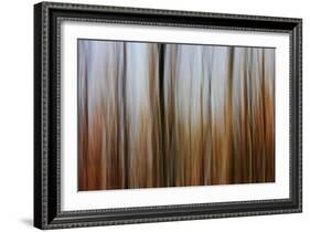 Mystic Forest 839-Rica Belna-Framed Giclee Print