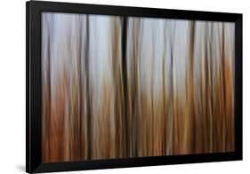 Mystic Forest 839-Rica Belna-Framed Giclee Print