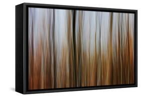 Mystic Forest 839-Rica Belna-Framed Stretched Canvas