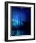 Mystic Forest-Julie Fain-Framed Art Print