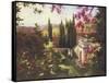 Mystic Garden II-Gabriela-Framed Stretched Canvas