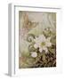 Mystic Garden Study-Linda Ravenscroft-Framed Giclee Print