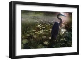 Mystic Heron-Steve Hunziker-Framed Art Print