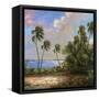 Mystic Lagoon II-Hannah Paulsen-Framed Stretched Canvas