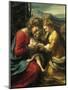 Mystic Marriage of St Catherine of Alexandria-Antonio Allegri Da Correggio-Mounted Giclee Print