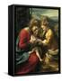 Mystic Marriage of St Catherine of Alexandria-Antonio Allegri Da Correggio-Framed Stretched Canvas