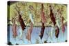 Mystic Nativity-Sandro Botticelli-Stretched Canvas