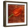 Mystic Tulip-Olvia Celest-Framed Art Print