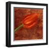 Mystic Tulip-Olvia Celest-Framed Art Print