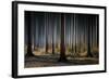 Mystic Wood-Carsten Meyerdierks-Framed Photographic Print