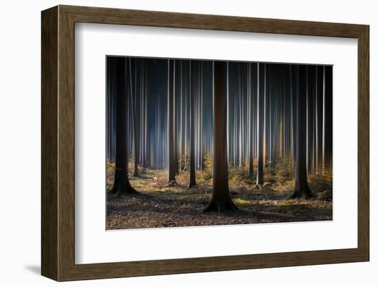 Mystic Wood-Carsten Meyerdierks-Framed Photographic Print