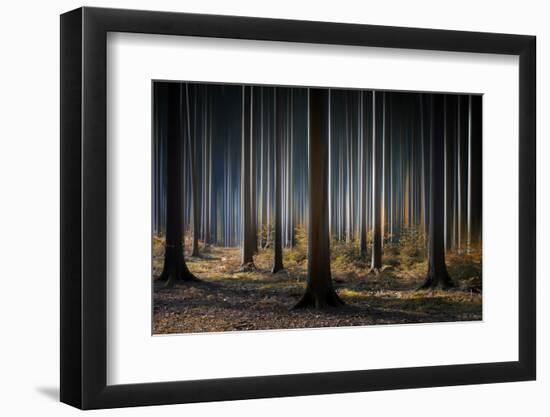 Mystic Wood-Carsten Meyerdierks-Framed Photographic Print