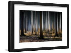 Mystic Wood-Carsten Meyerdierks-Framed Photographic Print