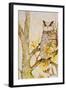 Mystic Woodland II-Janice Gaynor-Framed Premium Giclee Print