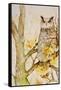 Mystic Woodland II-Janice Gaynor-Framed Stretched Canvas