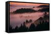 Mystical Dreamy Landscape, Mount Tamalpais, Marin County, San Francisco-Vincent James-Framed Stretched Canvas