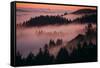 Mystical Dreamy Landscape, Mount Tamalpais, Marin County, San Francisco-Vincent James-Framed Stretched Canvas