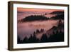 Mystical Dreamy Landscape, Mount Tamalpais, Marin County, San Francisco-Vincent James-Framed Photographic Print