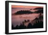 Mystical Dreamy Landscape, Mount Tamalpais, Marin County, San Francisco-Vincent James-Framed Photographic Print