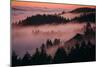 Mystical Dreamy Landscape, Mount Tamalpais, Marin County, San Francisco-Vincent James-Mounted Photographic Print