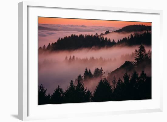 Mystical Dreamy Landscape, Mount Tamalpais, Marin County, San Francisco-Vincent James-Framed Photographic Print