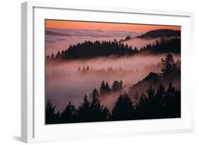 Mystical Dreamy Landscape, Mount Tamalpais, Marin County, San Francisco-Vincent James-Framed Photographic Print