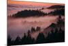 Mystical Dreamy Landscape, Mount Tamalpais, Marin County, San Francisco-Vincent James-Mounted Photographic Print