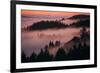 Mystical Dreamy Landscape, Mount Tamalpais, Marin County, San Francisco-Vincent James-Framed Photographic Print