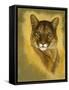 Mystical Encounter-Barbara Keith-Framed Stretched Canvas