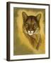 Mystical Encounter-Barbara Keith-Framed Giclee Print