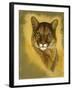 Mystical Encounter-Barbara Keith-Framed Giclee Print