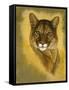 Mystical Encounter-Barbara Keith-Framed Stretched Canvas