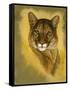 Mystical Encounter-Barbara Keith-Framed Stretched Canvas