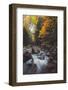 Mystical Flow, Early Fall River, White Mountains, New Hampshire-Vincent James-Framed Photographic Print