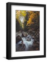 Mystical Flow, Early Fall River, White Mountains, New Hampshire-Vincent James-Framed Photographic Print